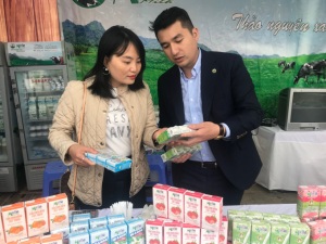Mộc Châu: Chè thanh sạch, sữa mát lành