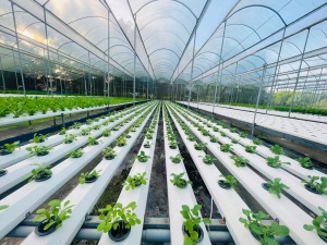 Bình Thuận “Giới thiệu một số mô hình trồng trọt, chăn nuôi theo hướng an toàn sinh học, bền vững”