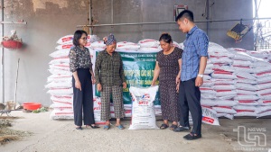 Thái Nguyên: Xây dựng mô hình chăn nuôi bò thịt chứng nhận VietGAHP