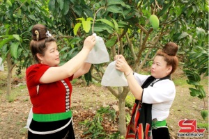 Chủ động phương án tiêu thụ, xuất khẩu nông sản