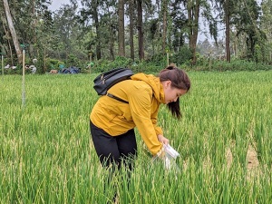 Chuẩn hóa quy trình sản xuất VietGAP cho các cây trồng chủ lực