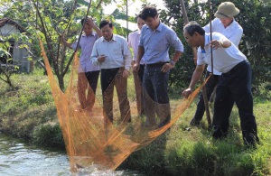 Hà Nội: Huyện Ba Vì nhân rộng các mô hình thủy sản VietGAP