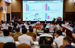 Diễn đàn tăng cường liên kết chuỗi trong sản xuất mắc ca VietGAP