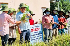 Lần đầu tiên, đồng bào dân tộc thiểu số ở 1 xã miền núi Bình Thuận trồng lúa tiêu chuẩn VietGAP thành công