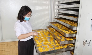 Bắc Giang: Giải ngân gần 50 tỷ đồng hỗ trợ phát triển sản xuất nông, lâm nghiệp và thủy sản