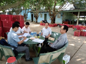 Bình Dương: Tăng cường giám sát cơ sở sản xuất áp dụng VietGAP