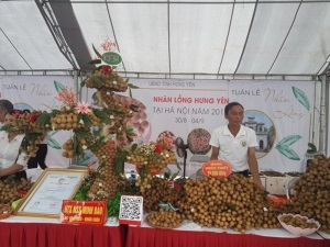 Hưng Yên có 508 mô hình được chứng nhận VietGAP, VietGAHP
