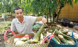 Chơn Thành nhân rộng quy trình VietGAP trong sản xuất nông nghiệp