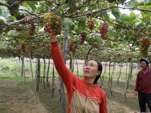 Nhơn Sơn sắp cán đích 