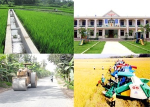 Thừa Thiên-Huế đã có 20 xã đạt chuẩn Nông thôn mới 