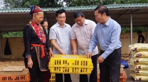 Hỗ trợ nông dân làm giàu từ vật nuôi bản địa