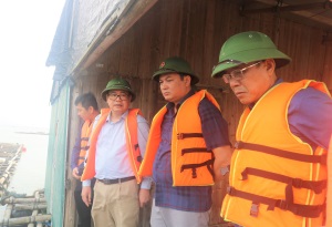 Quảng Ninh: Sử dụng vật liệu nổi trong nuôi trồng thủy sản thân thiện với môi trường