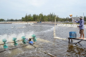 Cần thay đổi tư duy nuôi thủy sản 