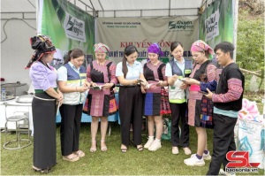 Sơn La xây dựng các chuỗi rau, quả an toàn