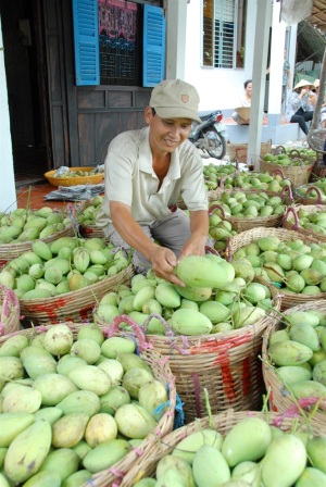 Nhiều tín hiệu lạc quan 