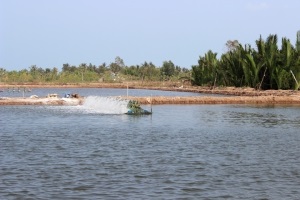 Đảm bảo an toàn thực phẩm cho thủy sản nuôi