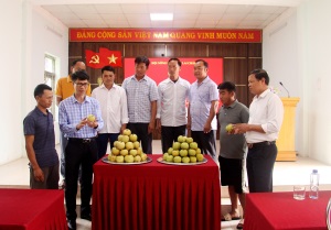 Lai Châu: Tổng kết mô hình chăm sóc cây lê theo hướng VietGAP