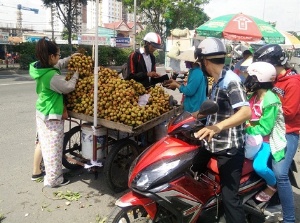 60.000 đ/kg vải chín sớm vào Nam 