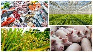 JFS-C: Cơ hội để nông sản Việt chinh phục thị trường Nhật Bản