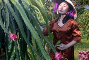 Kỳ vọng vào Vĩnh Phúc 