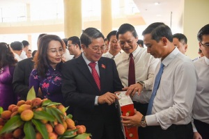 Xúc tiến tiêu thụ ở thủ phủ vải thiều: Minh bạch nguồn gốc, áp dụng công nghệ